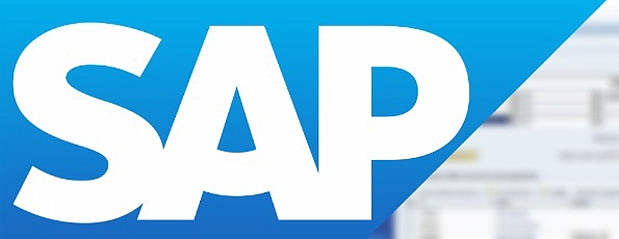 What Does A Sap Professional Do.